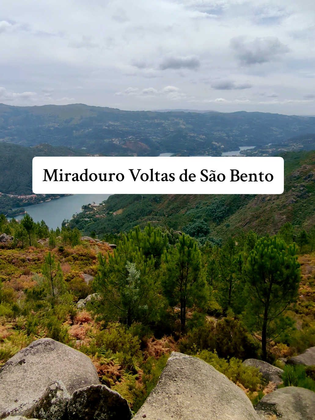 @Ger&ecirc;s Vibes