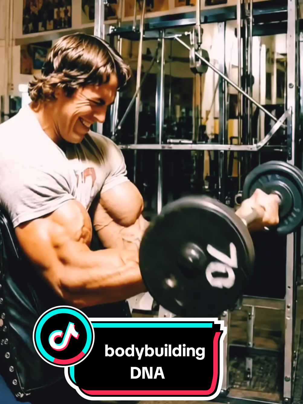 @bodybuildingDNA