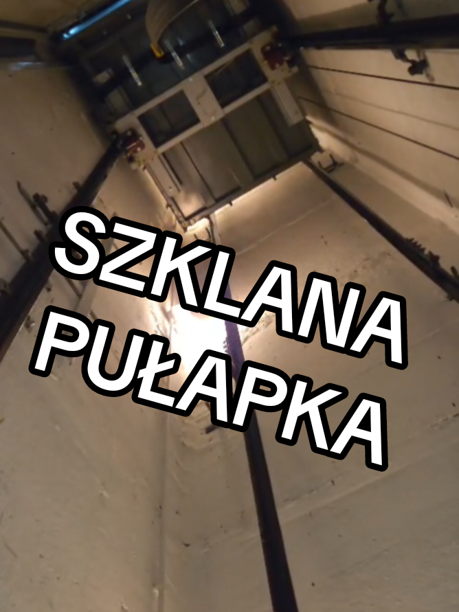 @wigoserwistv