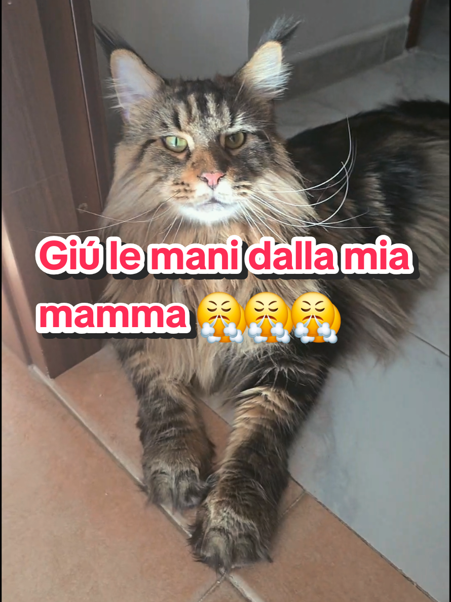 @🐾Aspen🐾