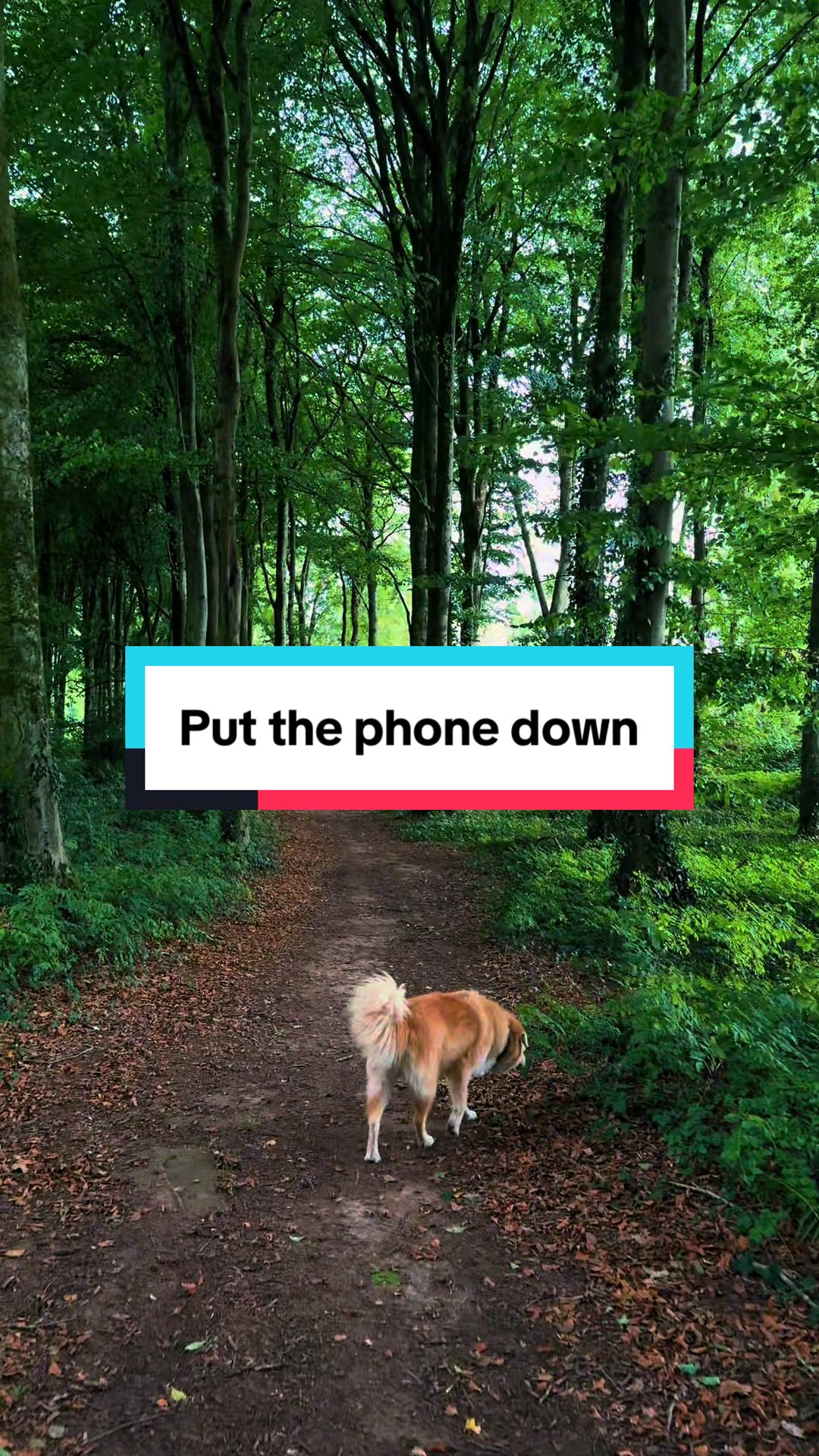 @howtobeoutdoors