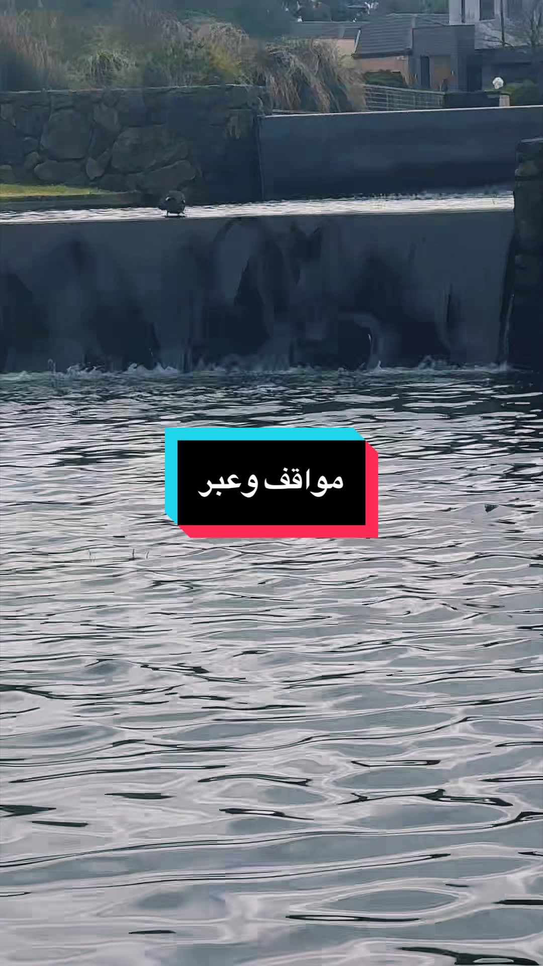 @NAHLA T jamel