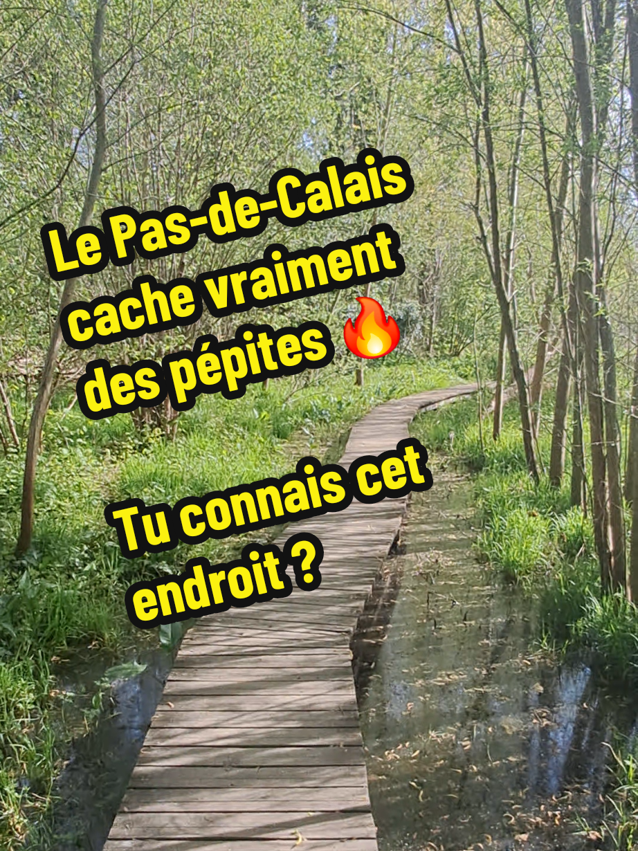 @Euchmath