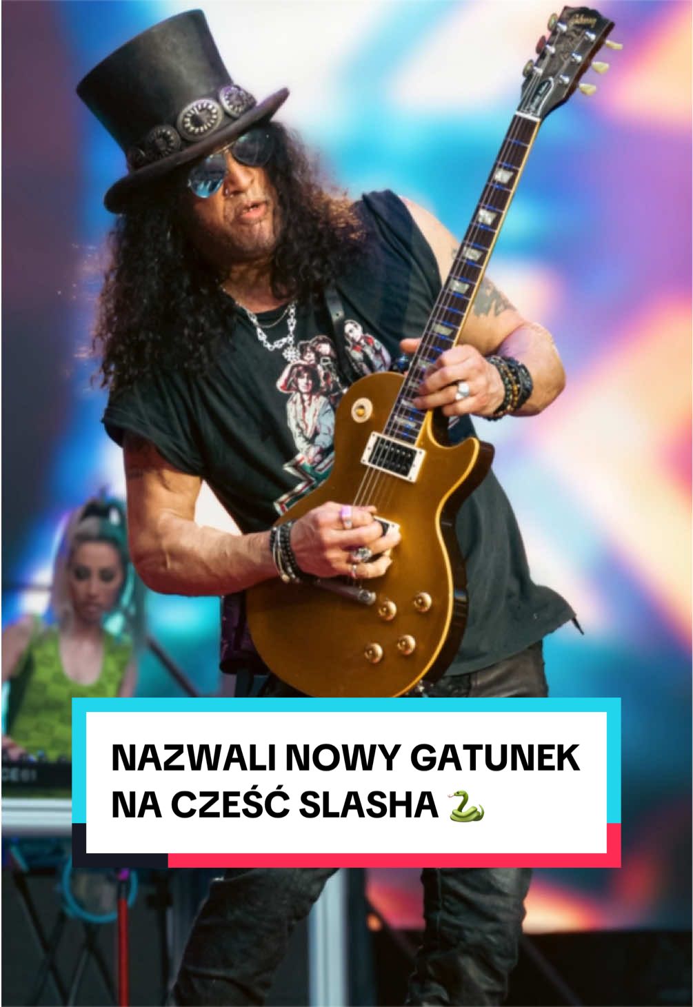 @pandawojtekyt