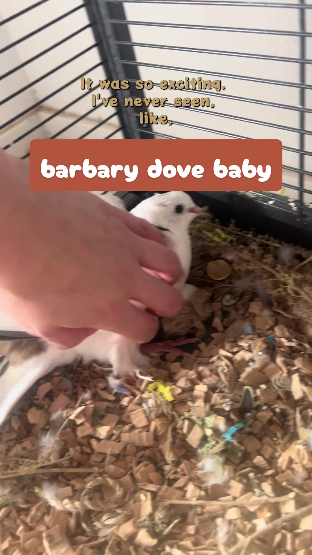 @Lisa‘s Pets