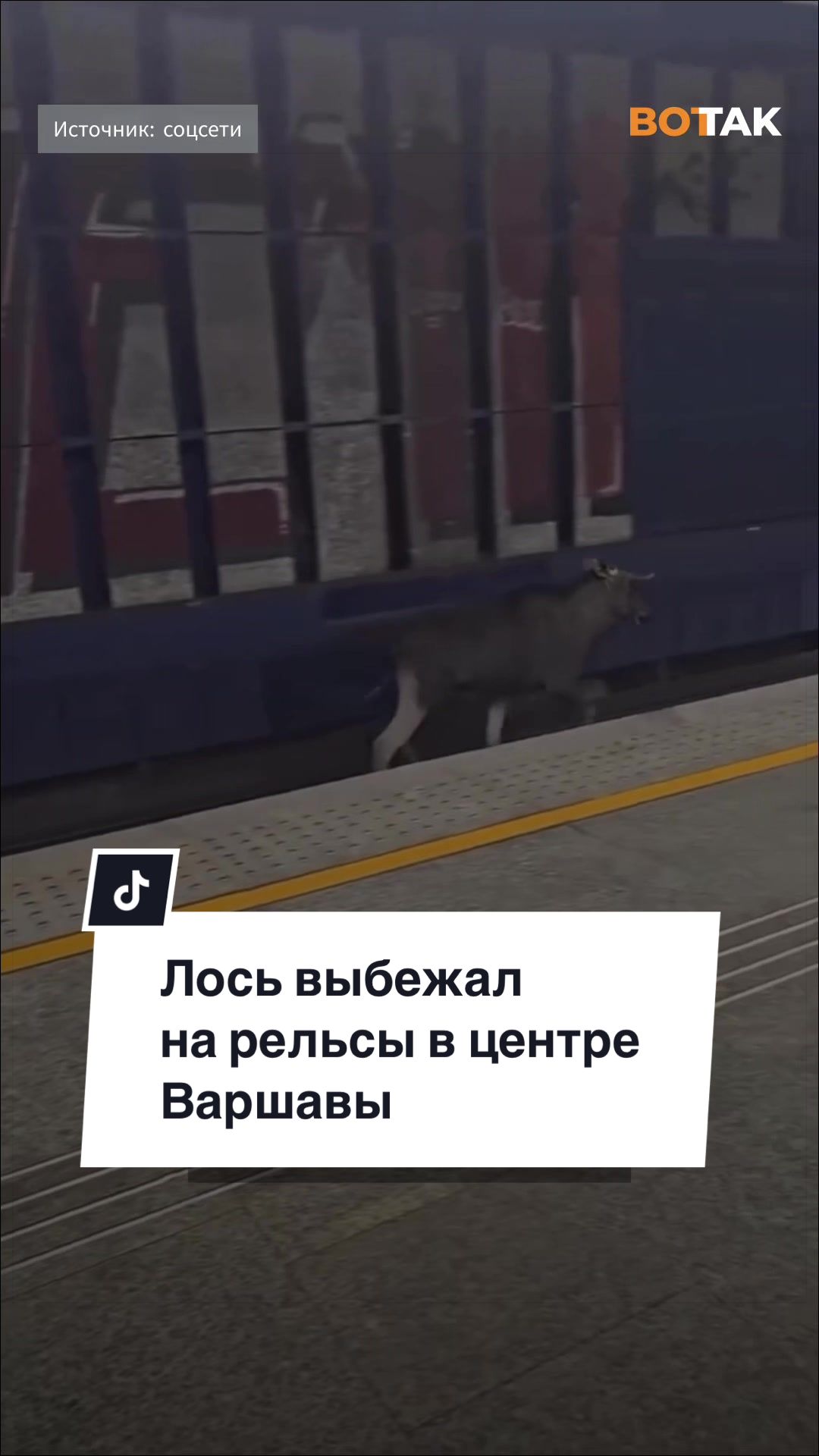 @vottaklite