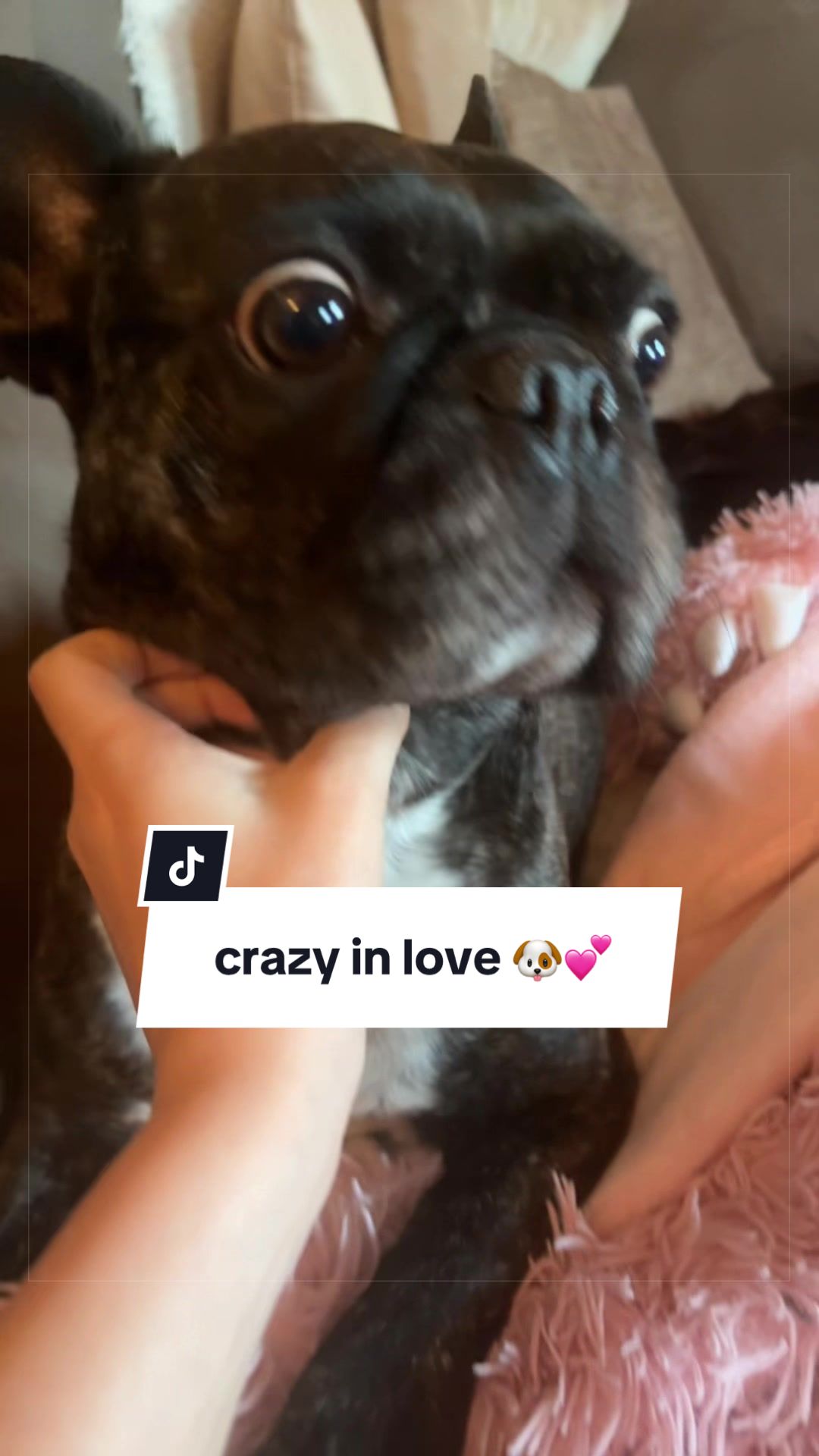 @Oscar ๐๐
๐