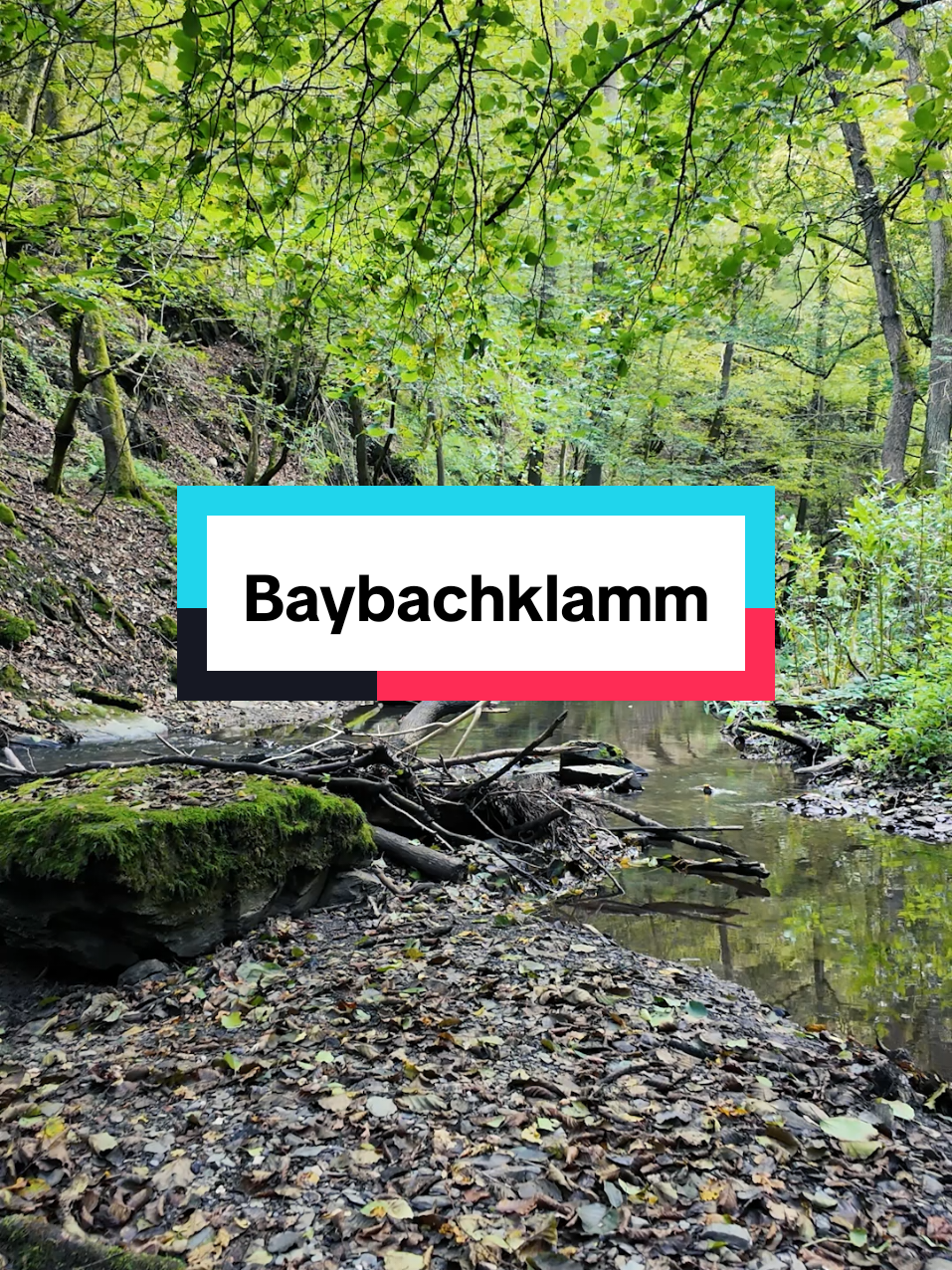 @Am Puls der Natur