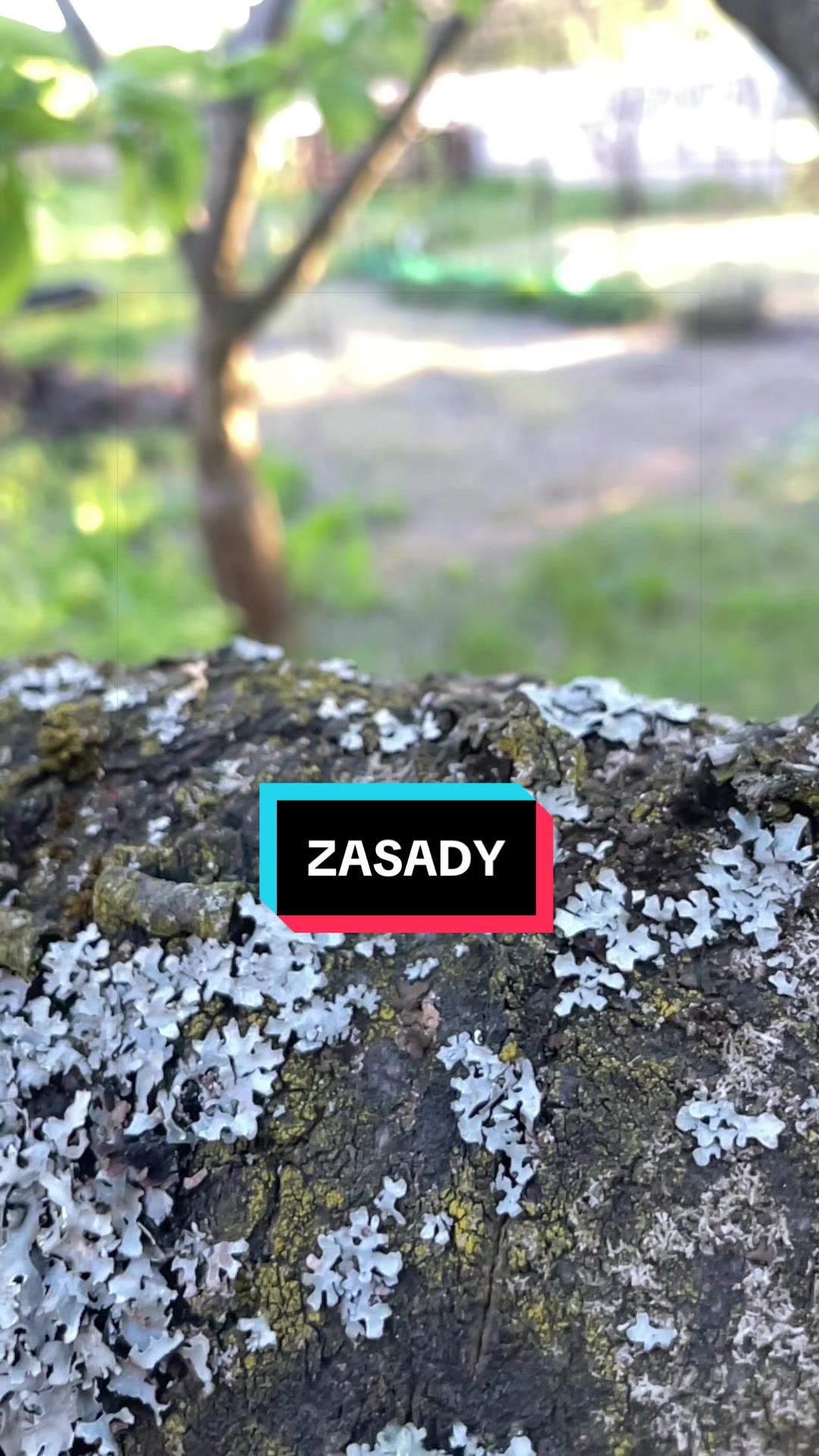 @KAZNODZIEJA
