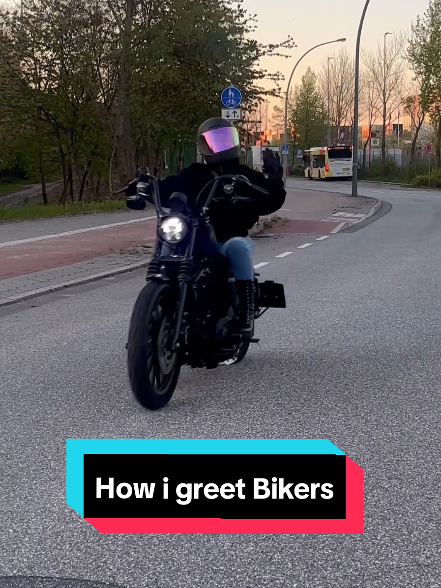 @Harley Maus