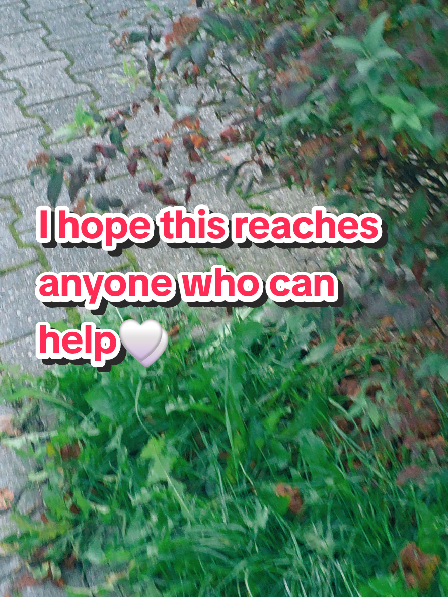 @imnotokay