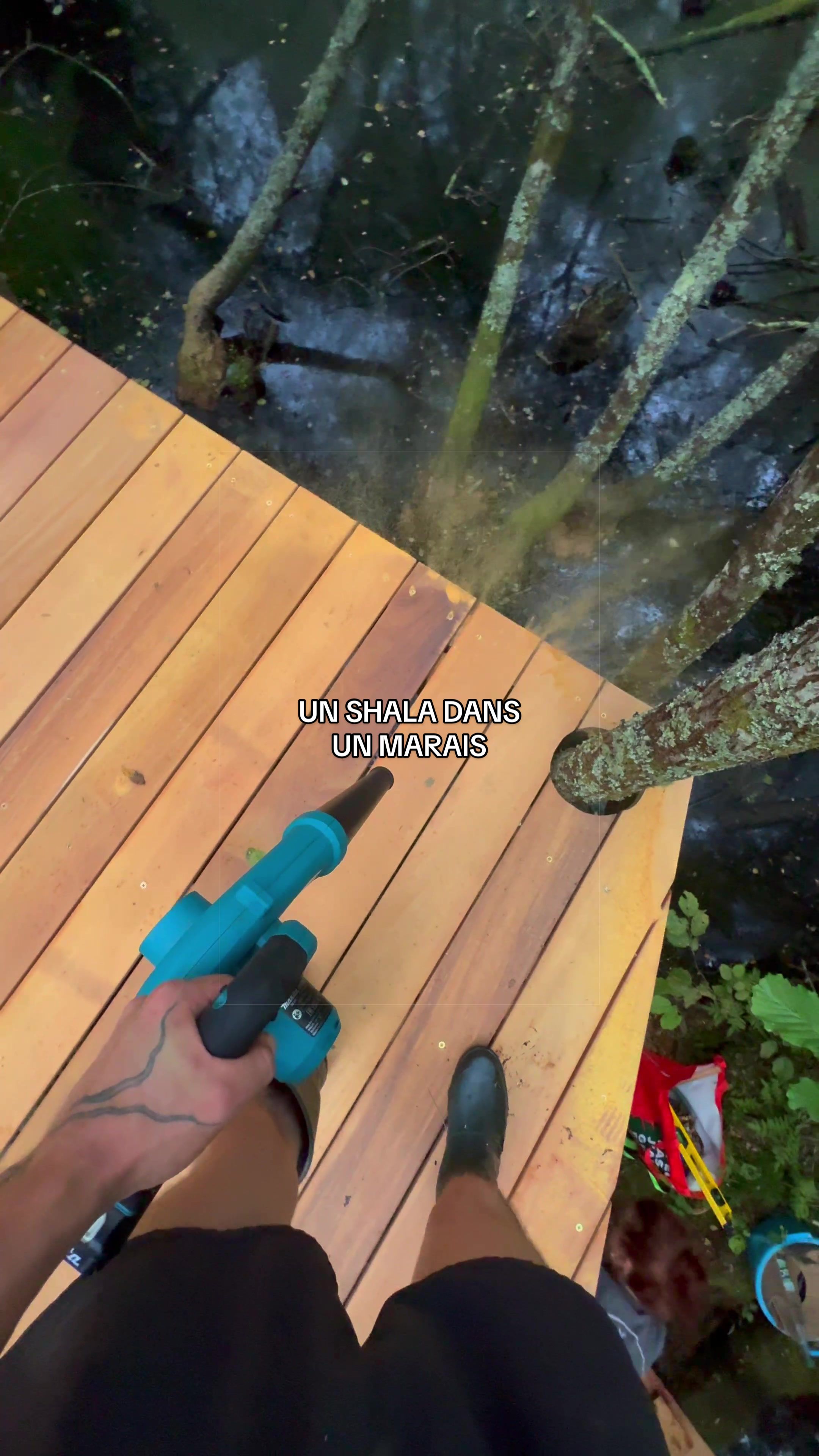 @Wildtreenet