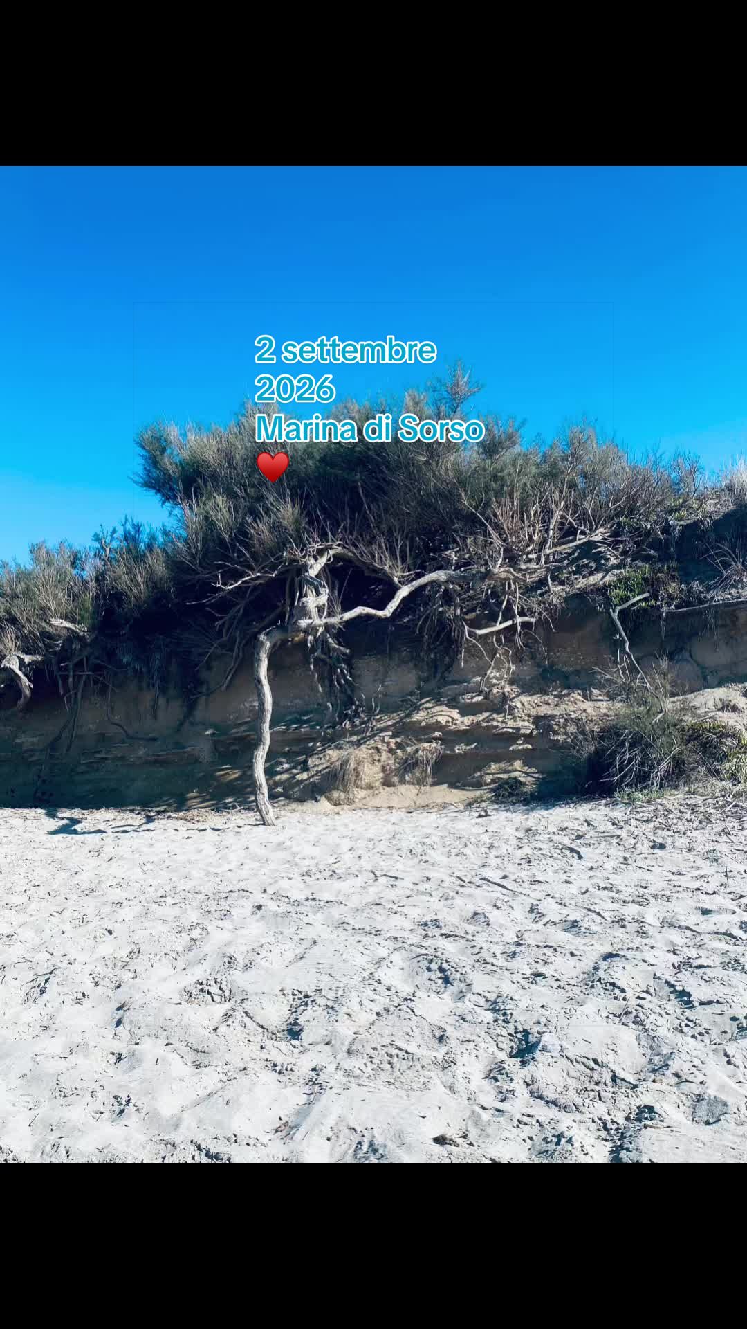 @Manumanufrau66