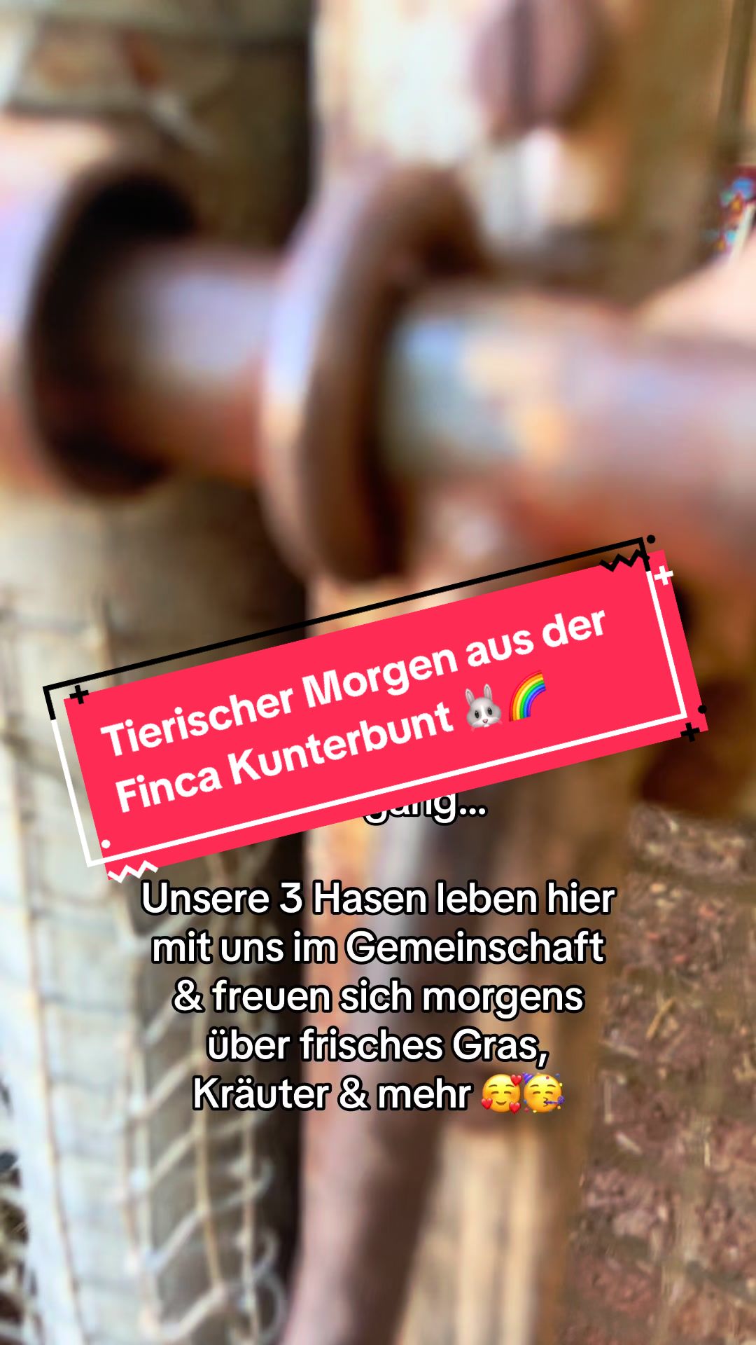 @FincaKunterbunt