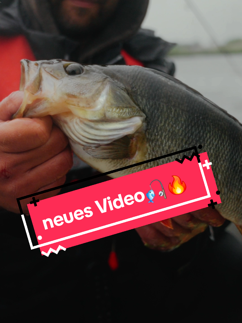 @Iron Claw_Fishing