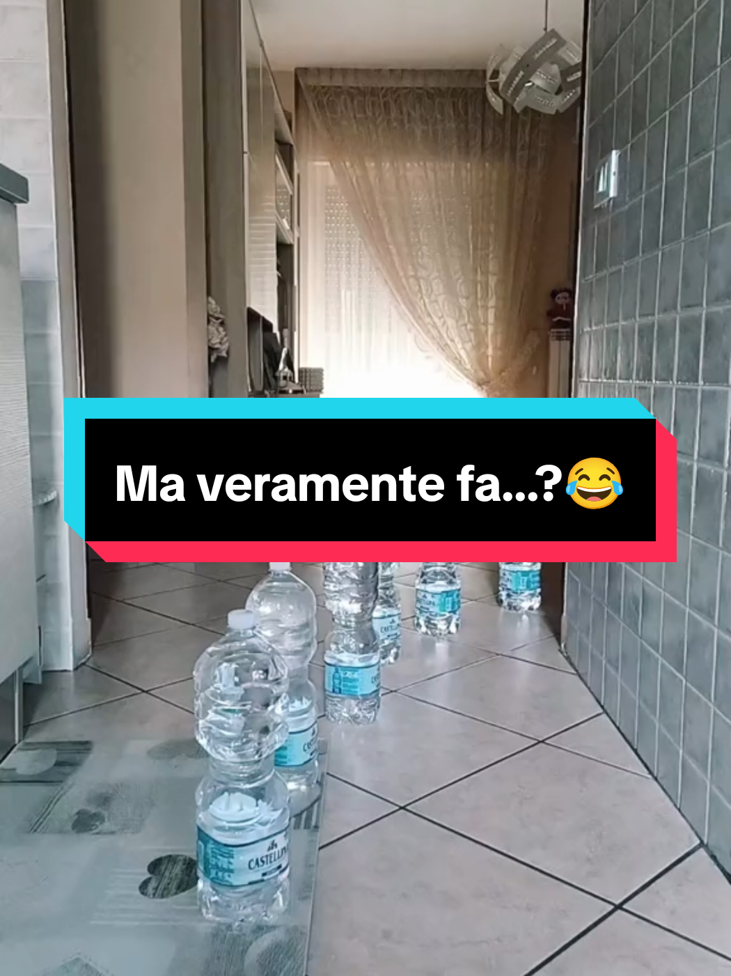 @Manuelnapo84