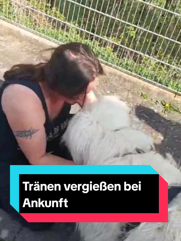 @Sevi