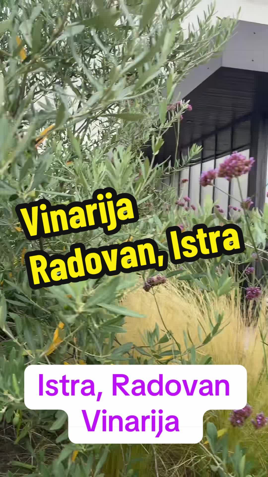 @@majaLika