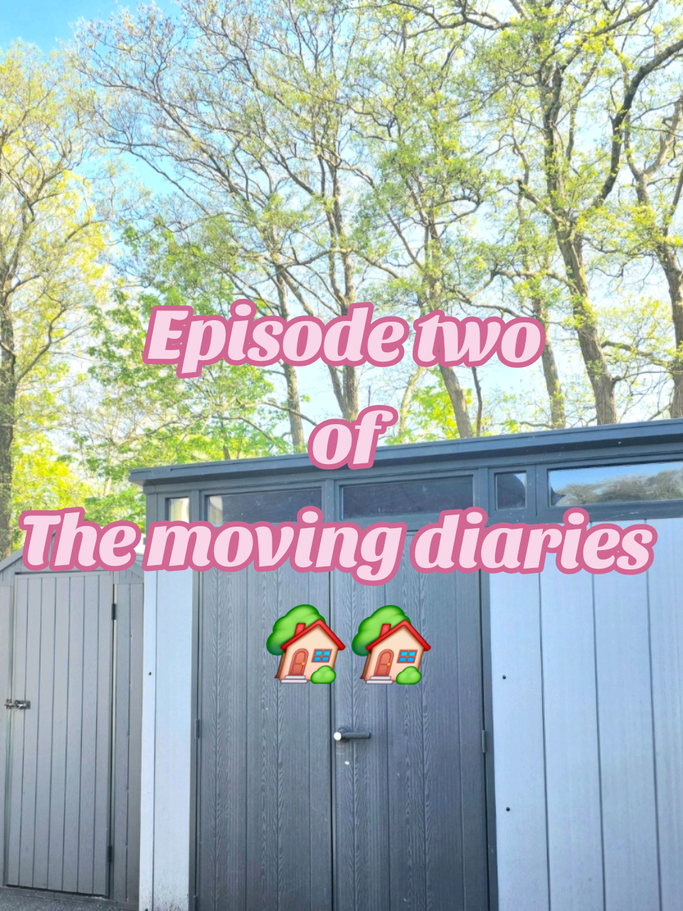 @Nikki Shreeve 🏡💚✨️