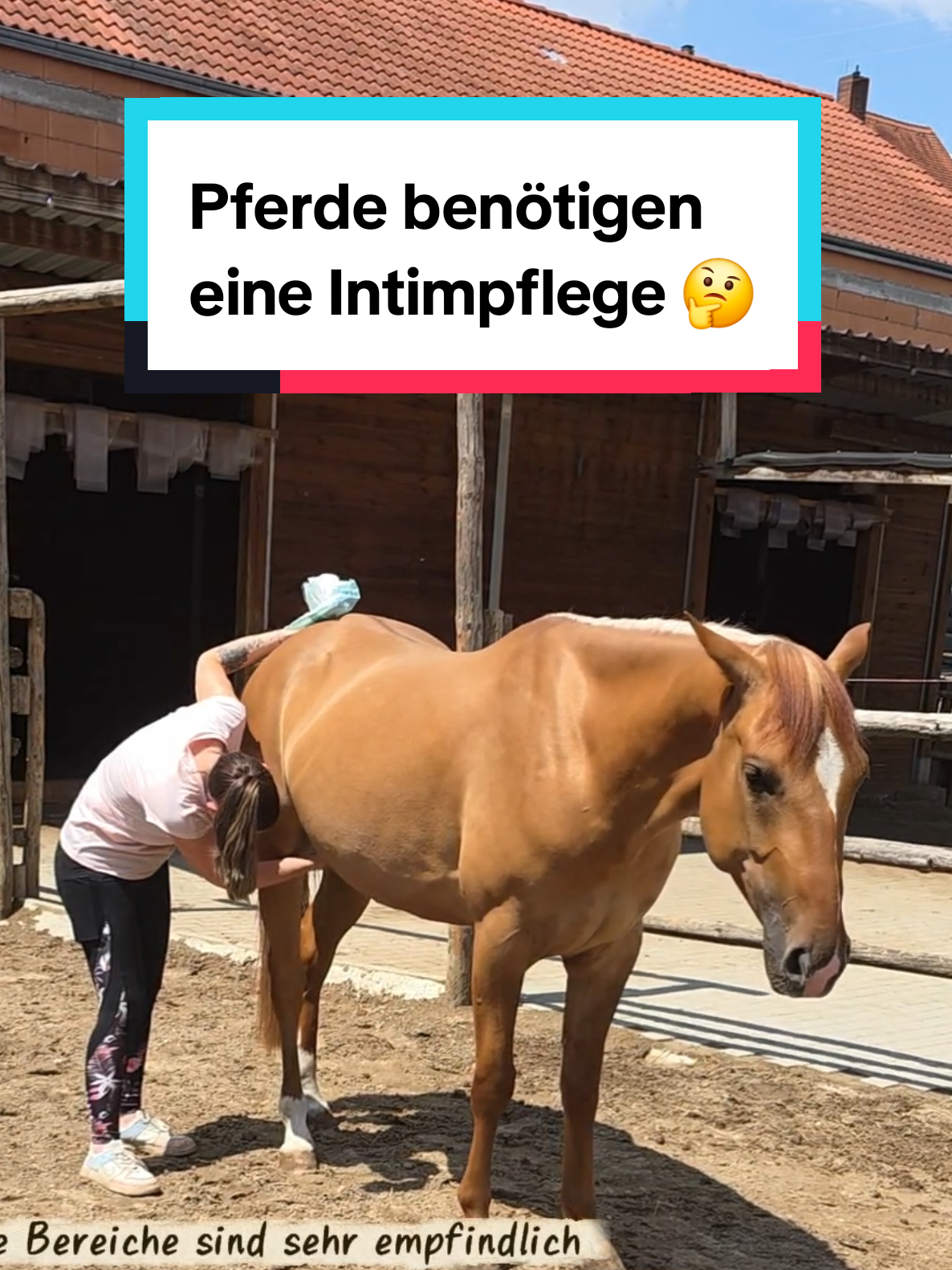 @🤠 Cowboy.HDH