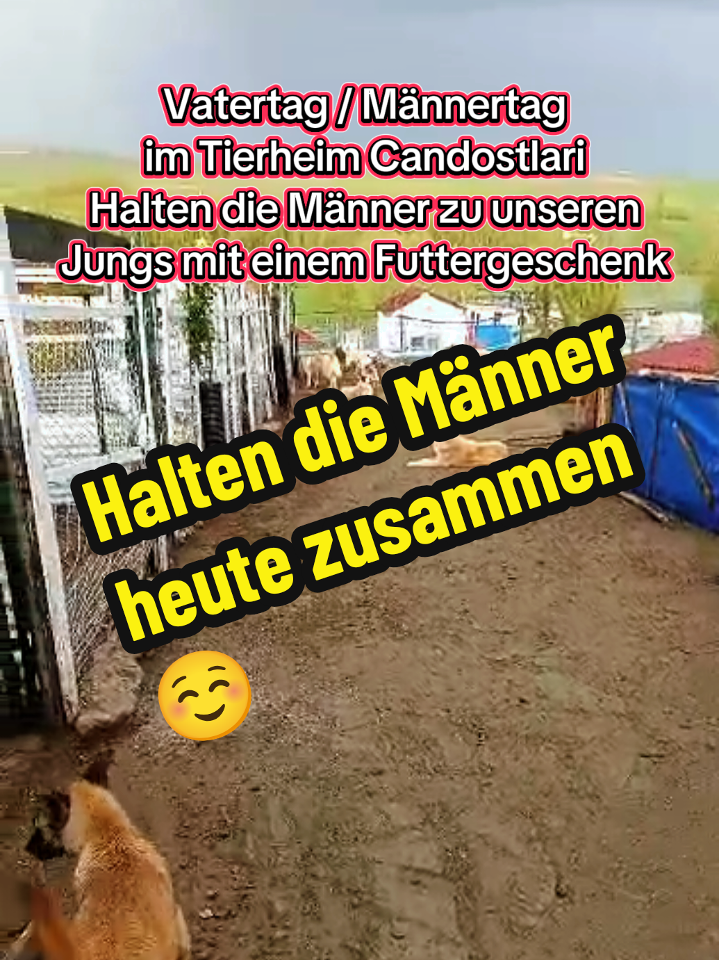 @TSV Candostlari-Beste Freunde