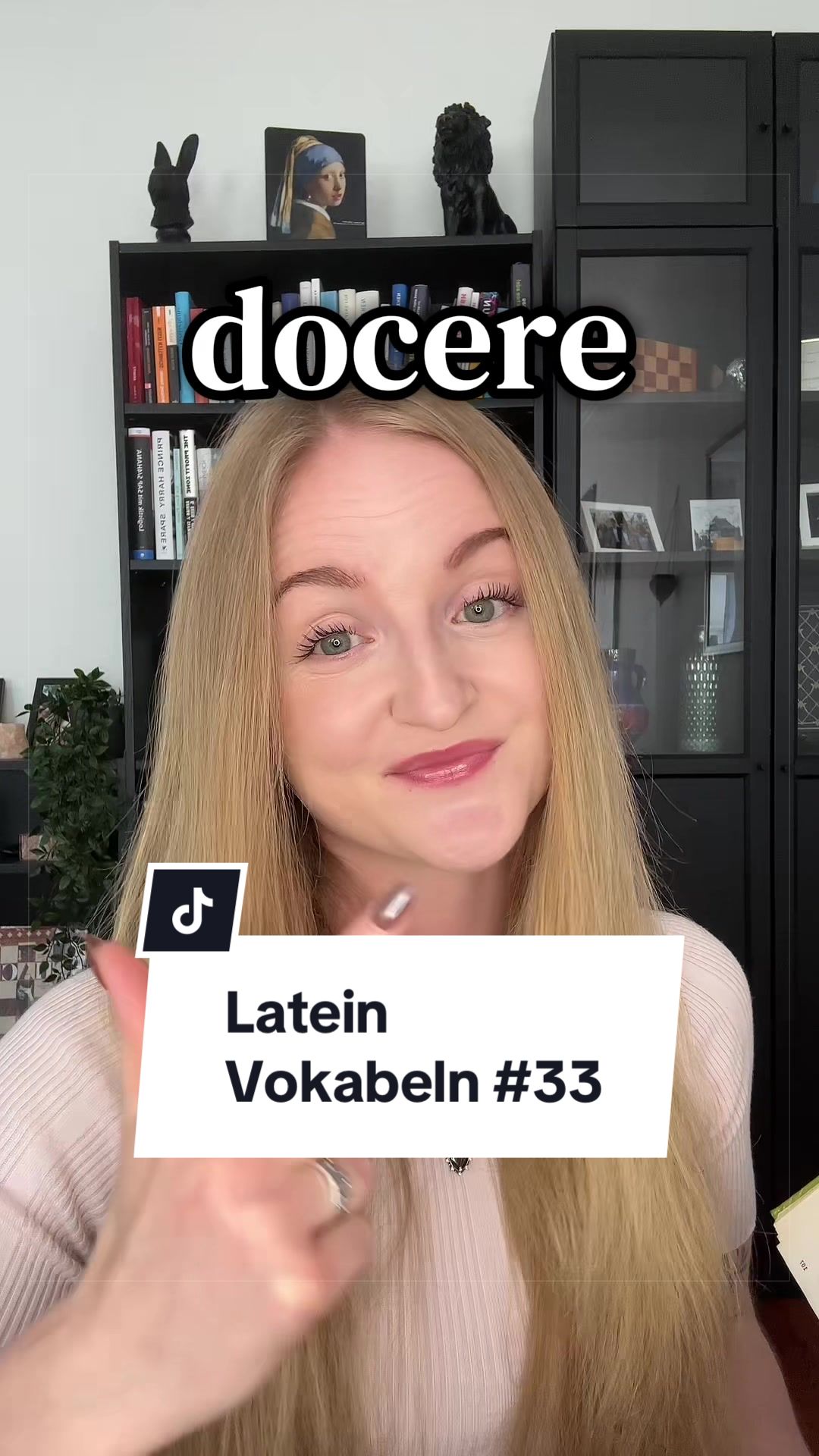 @Languaid - deine Sprachenhilfe