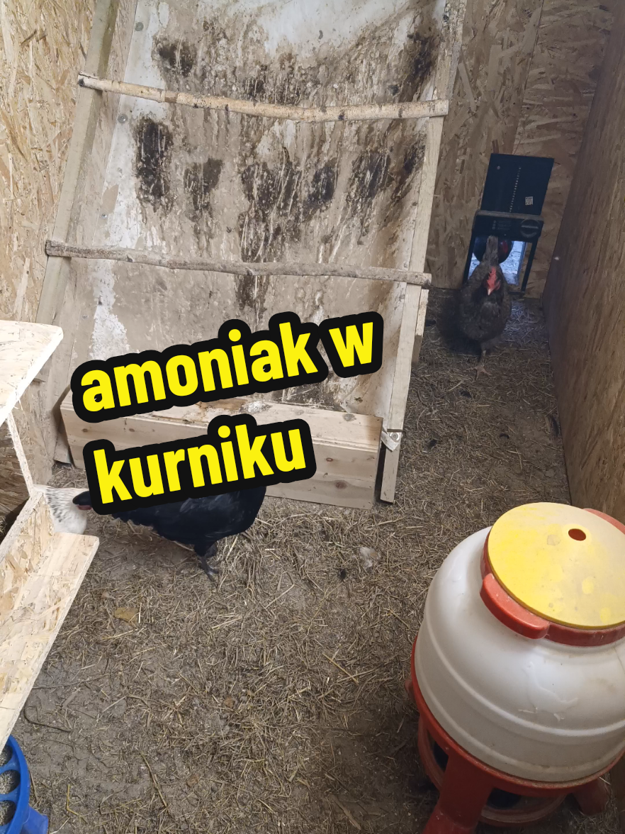 @Marcin ogrodnik