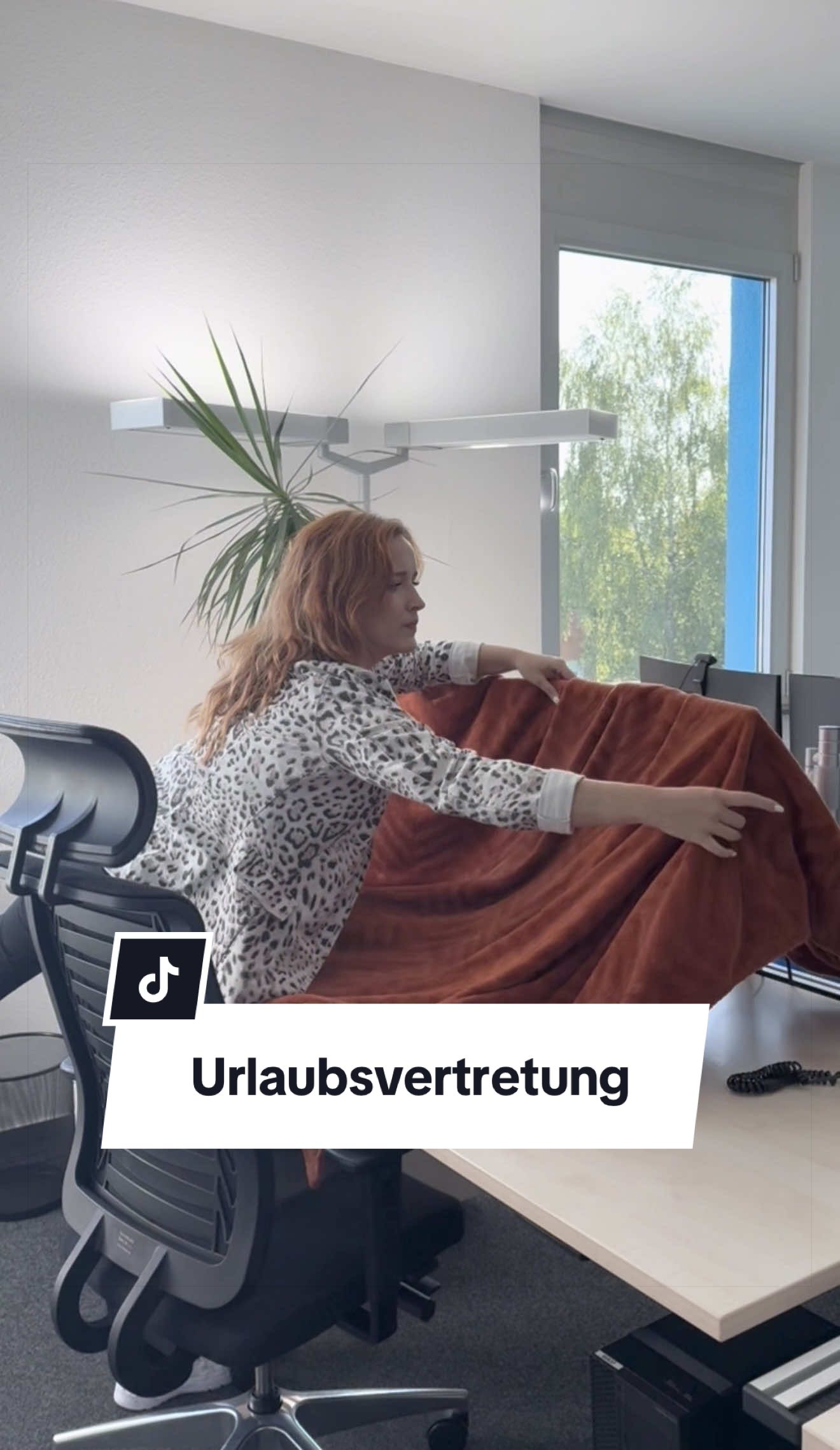 @sfh Steuerberatung