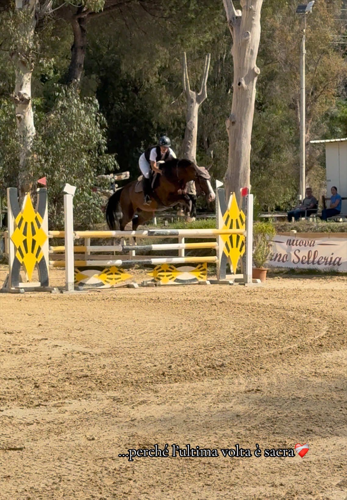 @Fabiana Tuccillo🇮🇹🐴🫀