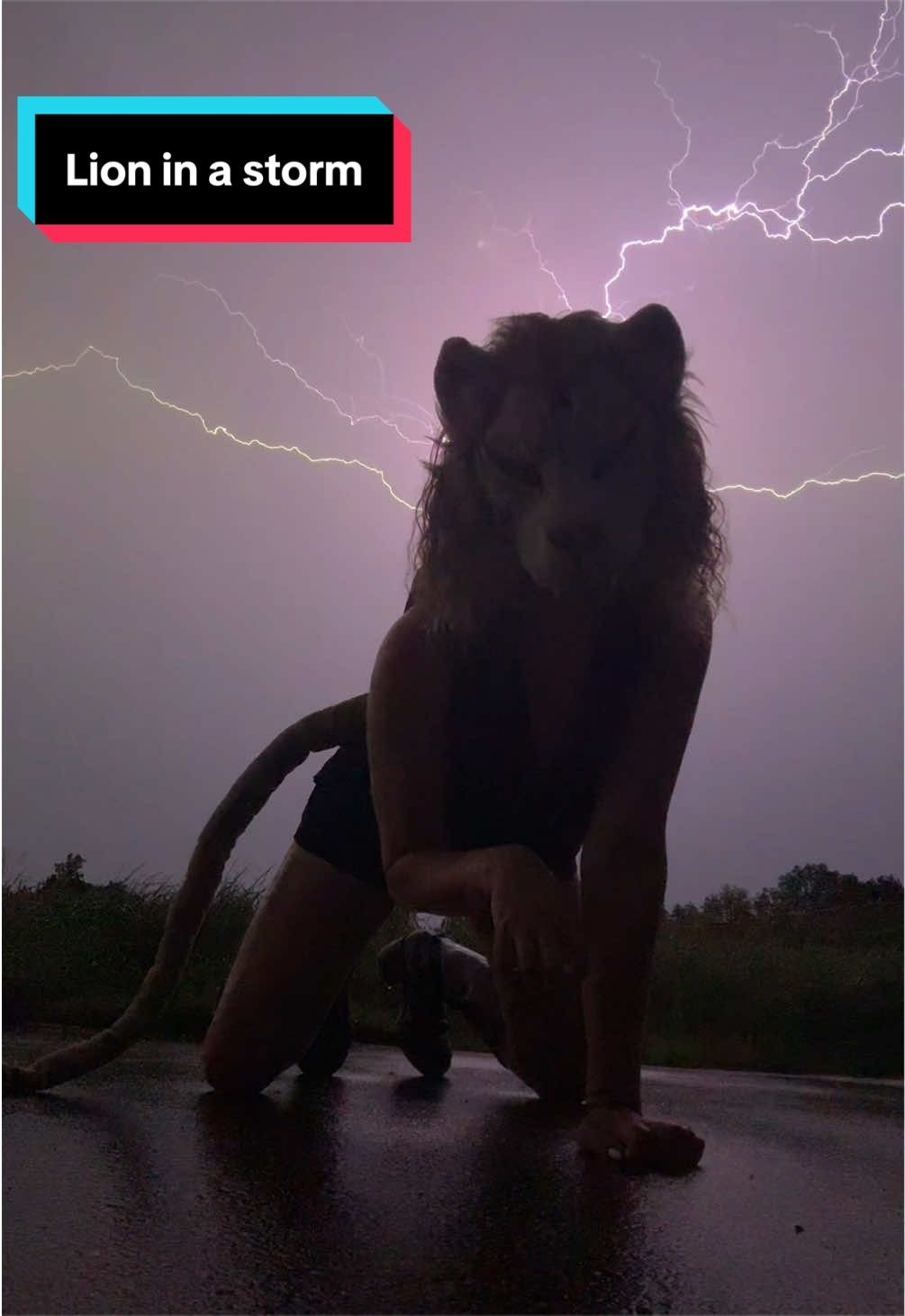 @Curly_Lioness