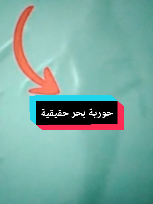 @Free Minds | العقول المتحررة💡
