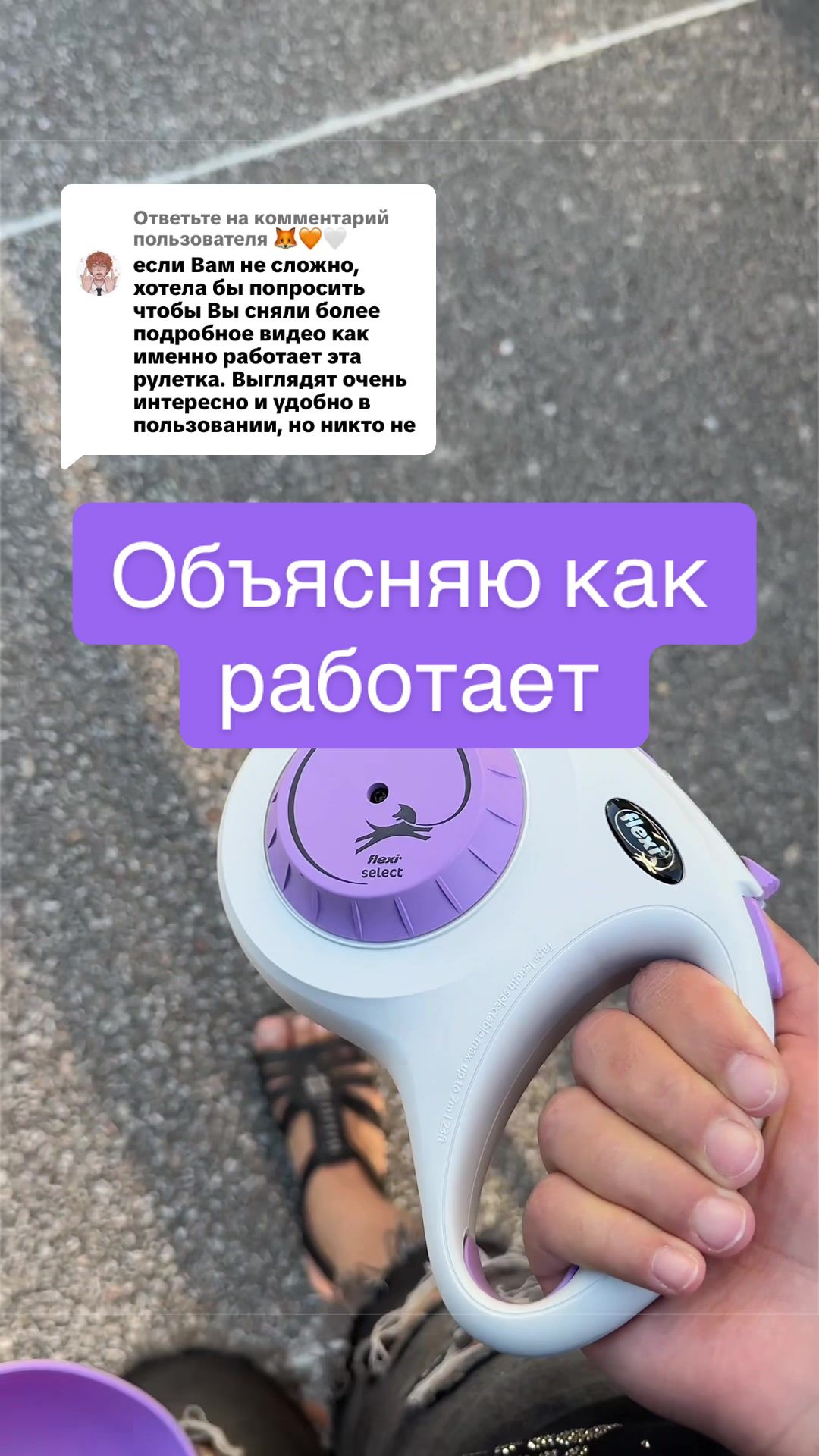 @Диана в Шерсти💜