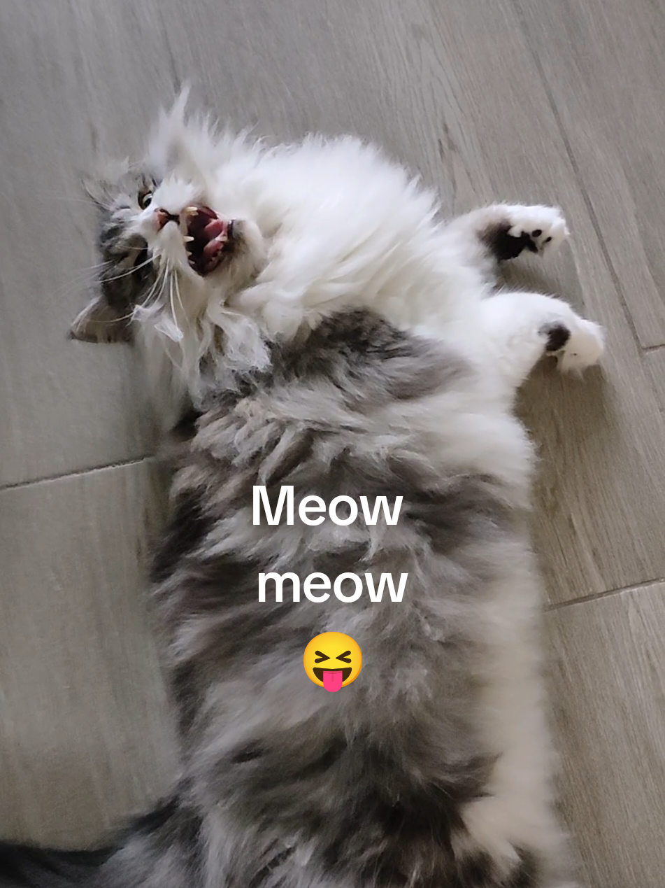 @LeonMylo