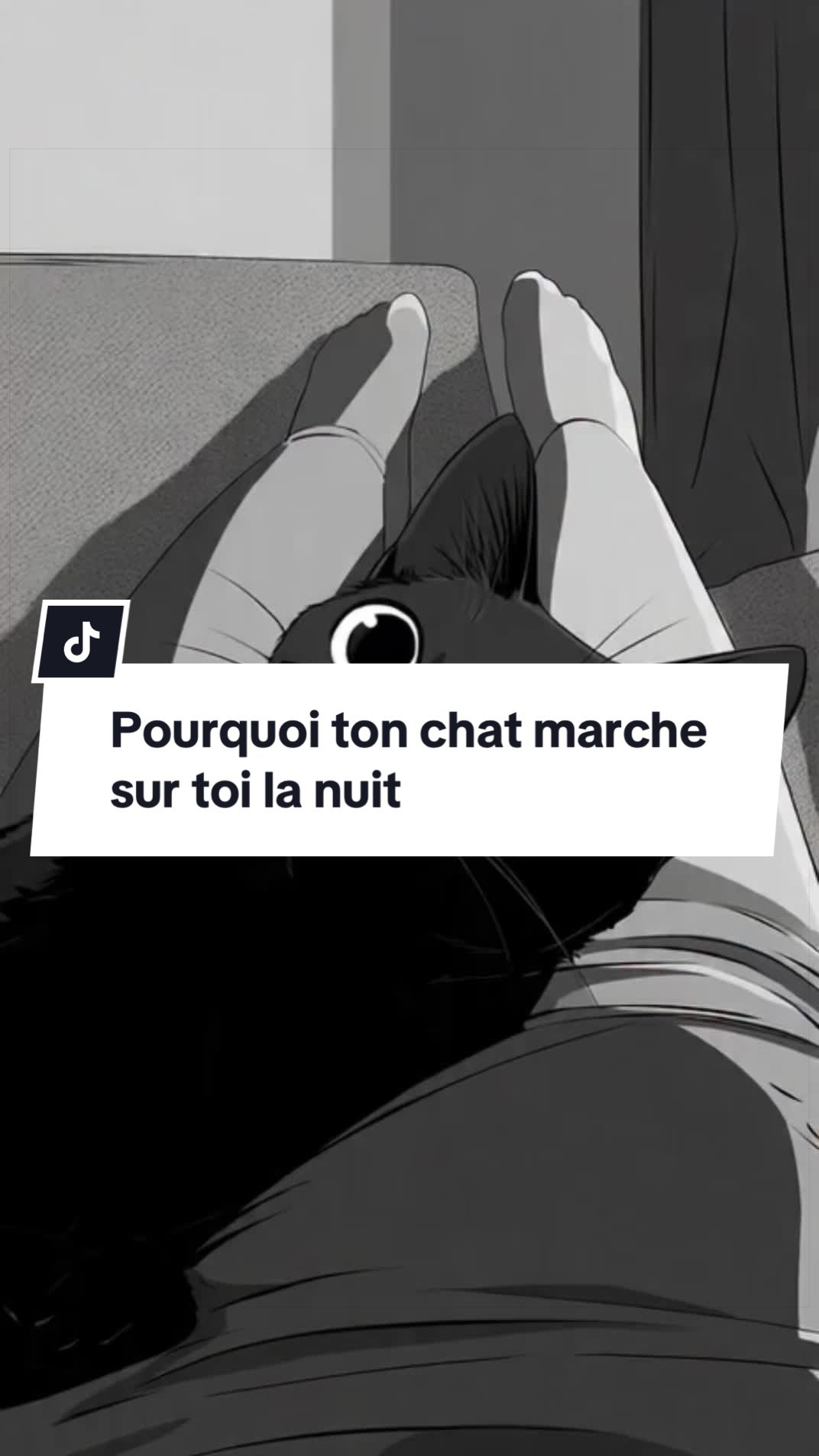 @PsyCat
