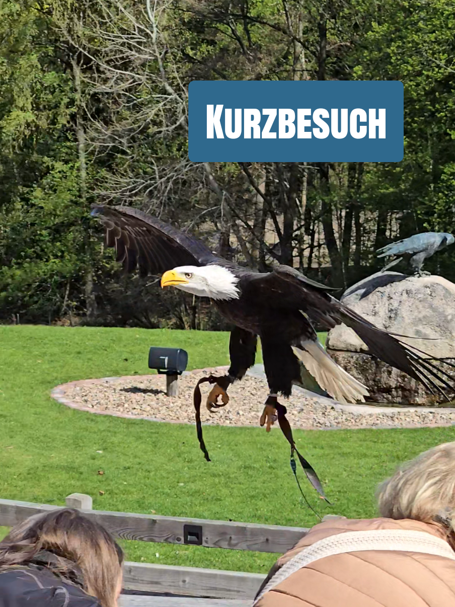 @WildparkLH