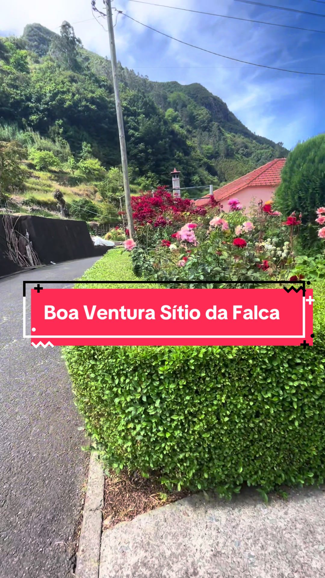 @Graca.Madeira