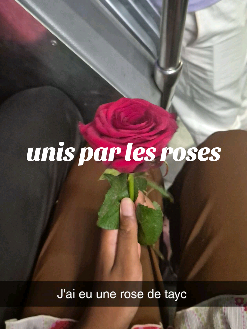 @Sarah 🦋