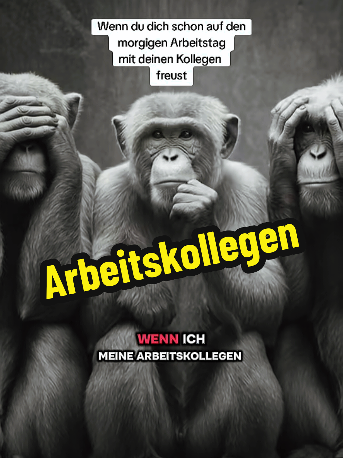 @elefantoweb