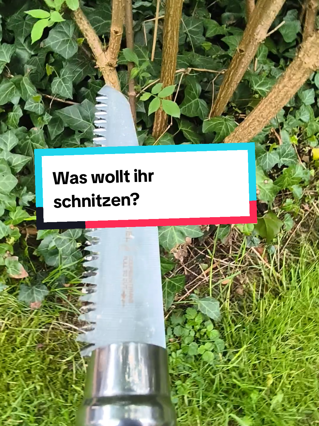 @DieSelbstvOrsorger