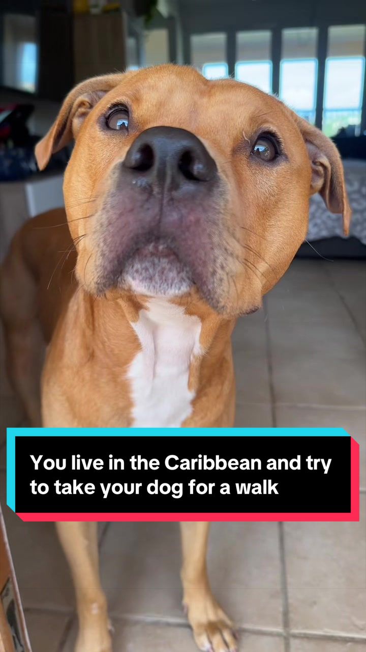 @Kaja & Macho 🥰