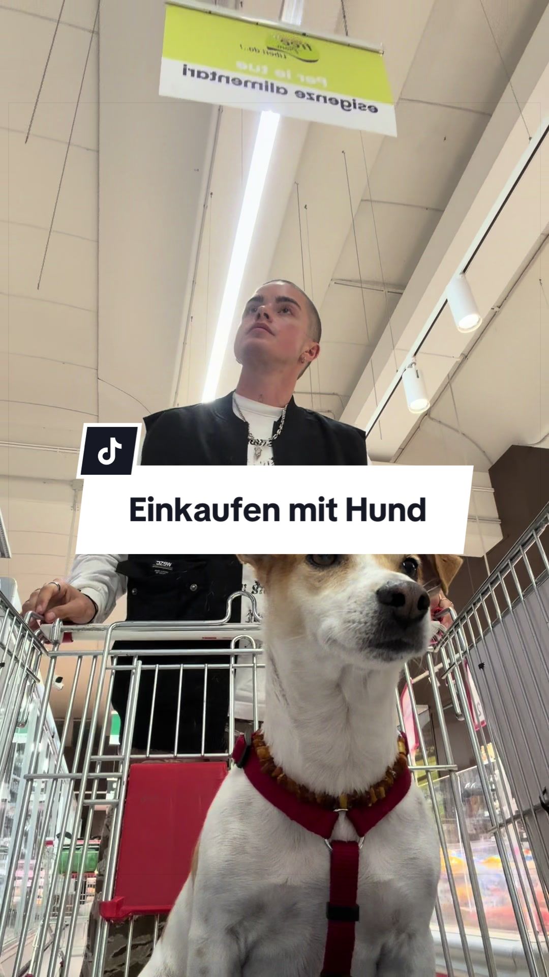 @Gialu