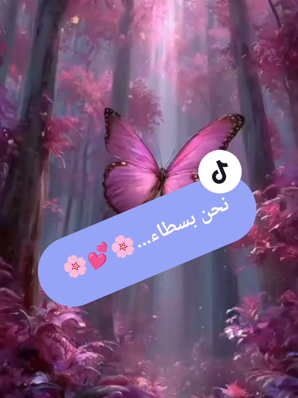 @صدى الصمت 🌸