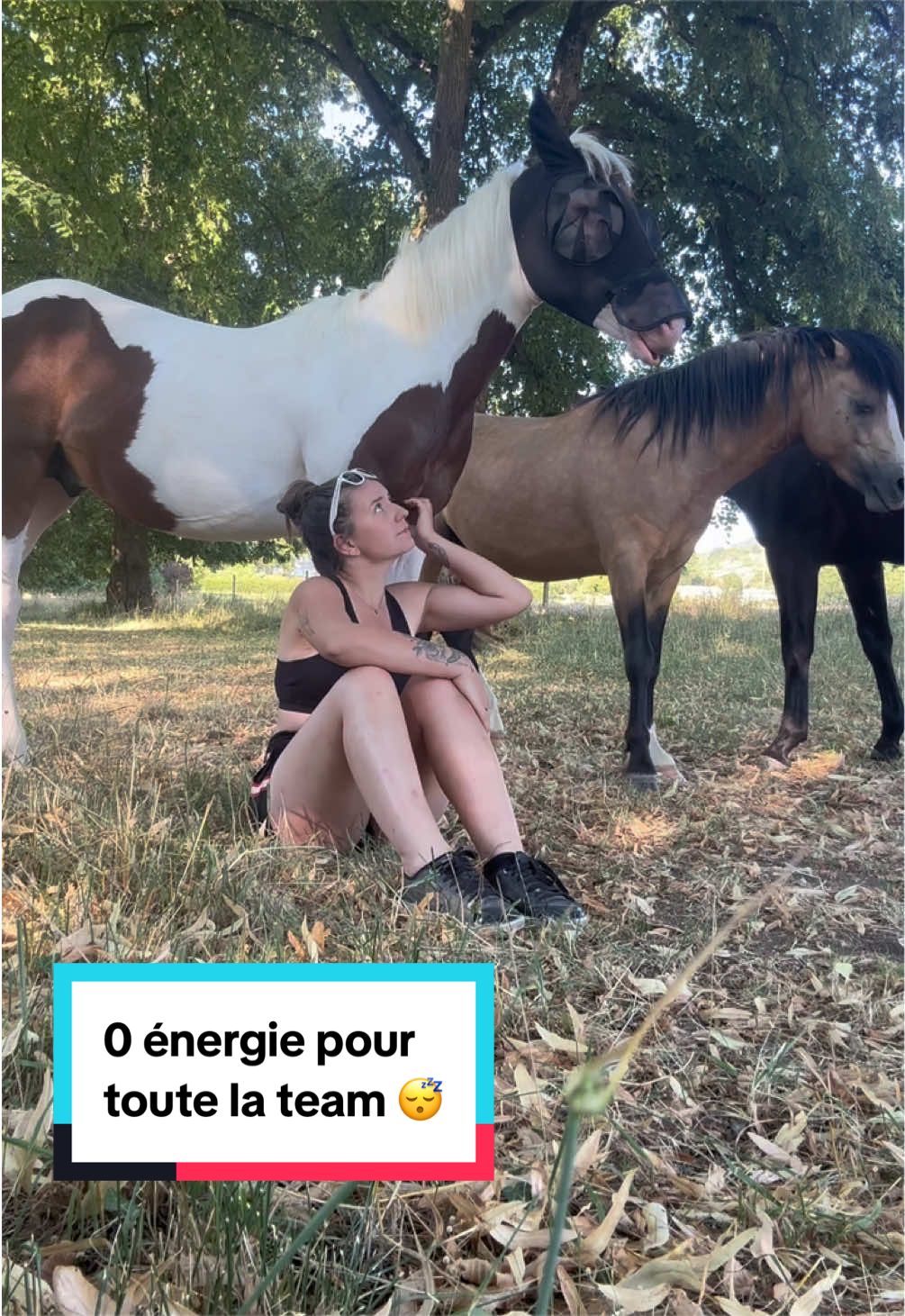 @mon poney pie