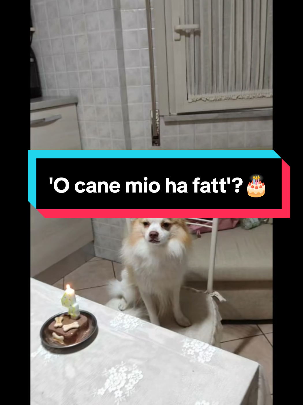 @Manuelnapo84