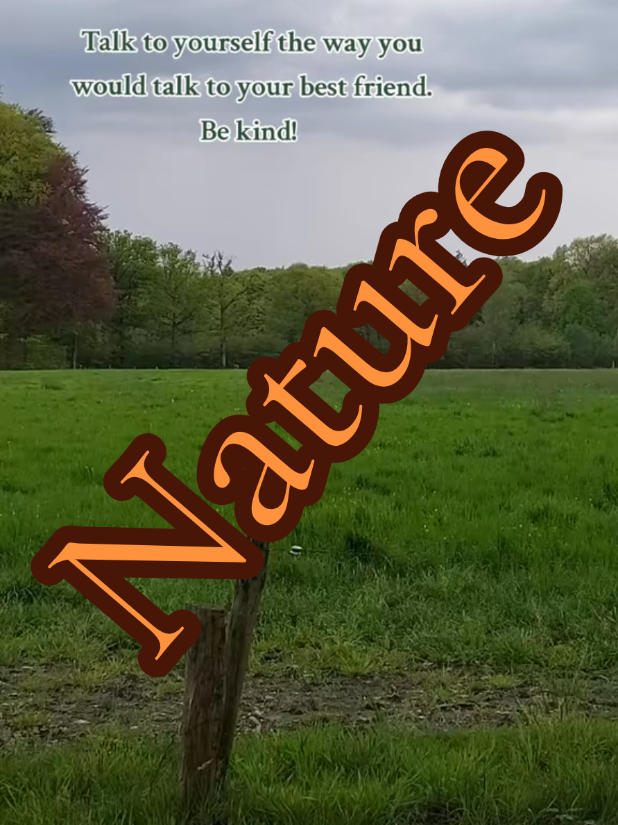 @Thalipauriel 🇳🇱🇬🇧🇪🇺