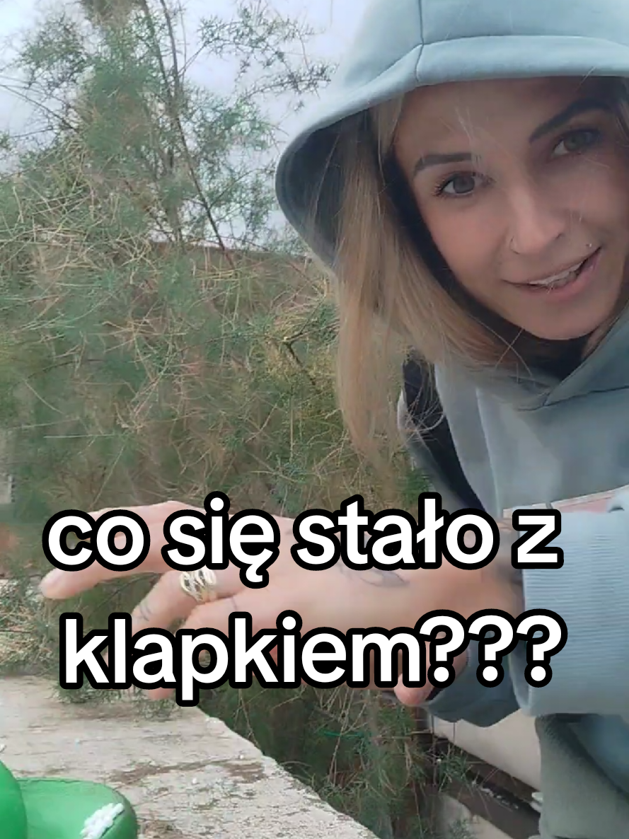 @wiksiii_fit_bus