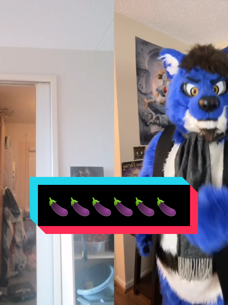 @Hikaji The Husky