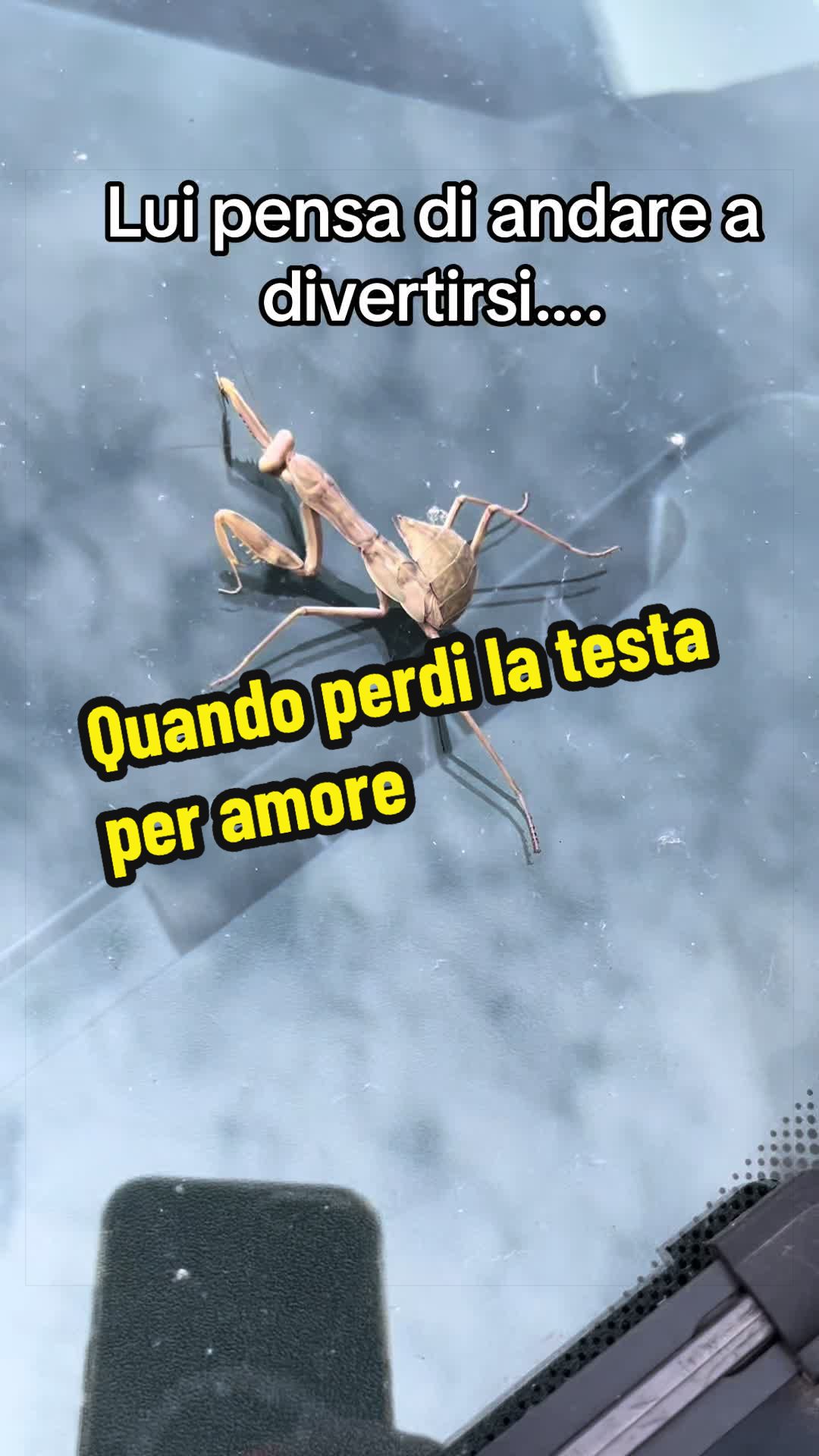 @Natali
