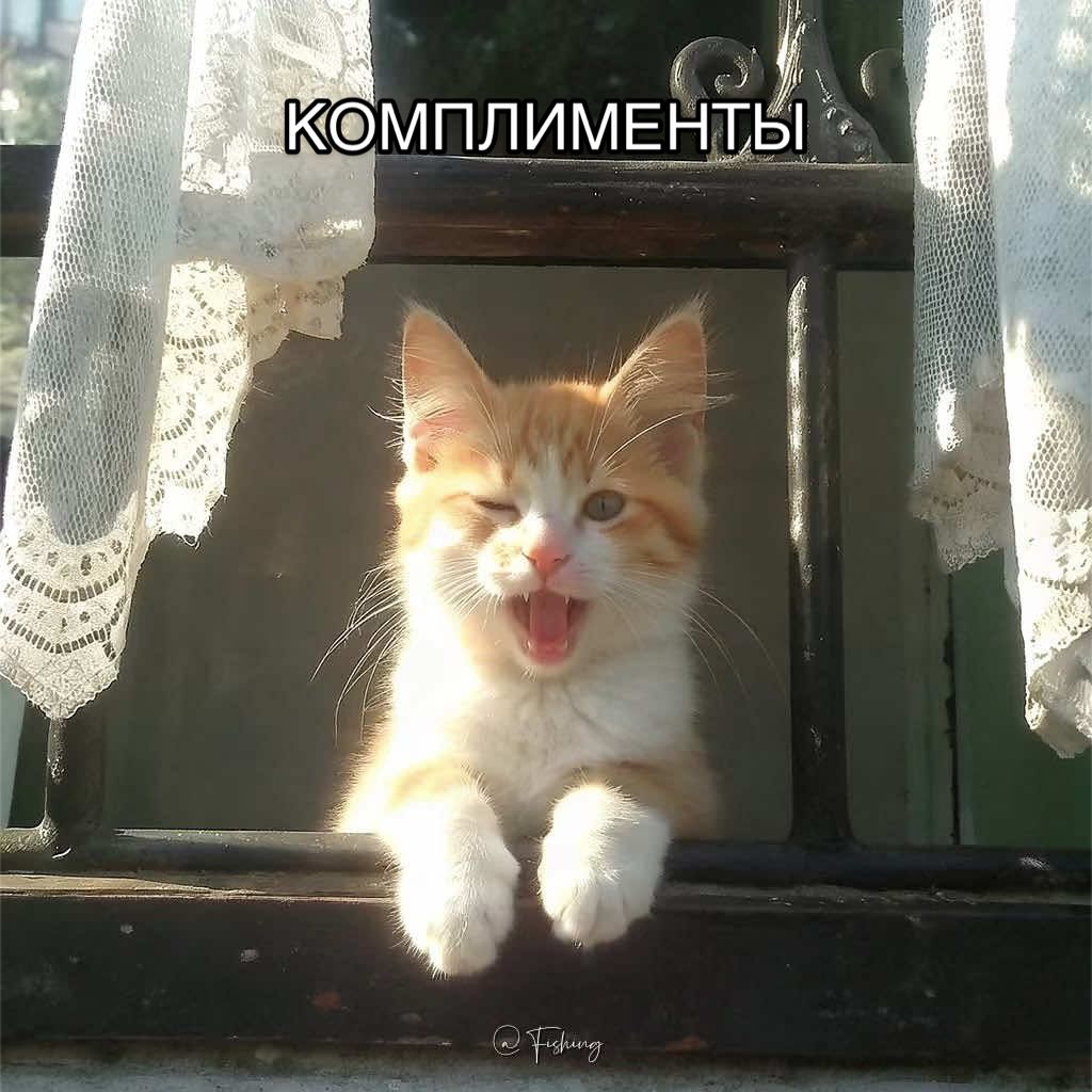 @Тгк:Энгель тут