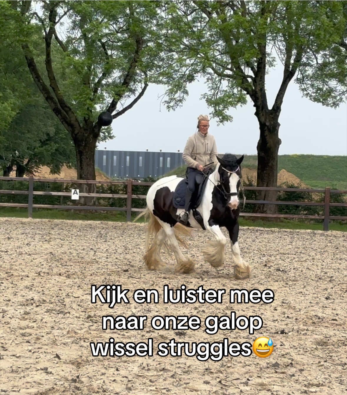 @Syrche Cordewener
